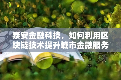 泰安金融科技，如何利用区块链技术提升城市金融服务透明度？