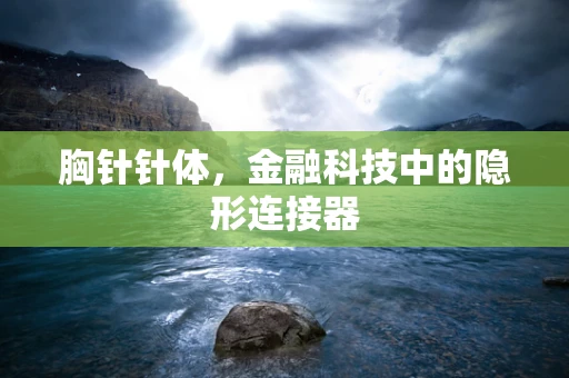 胸针针体，金融科技中的隐形连接器