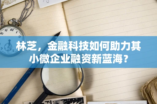 林芝，金融科技如何助力其小微企业融资新蓝海？