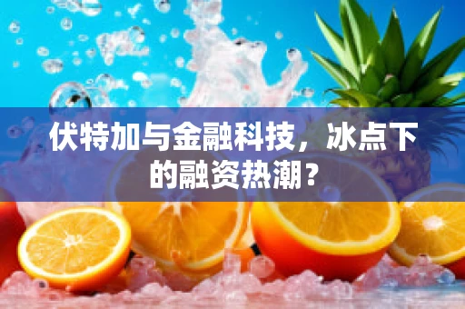 伏特加与金融科技，冰点下的融资热潮？