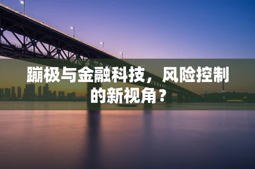 蹦极与金融科技，风险控制的新视角？