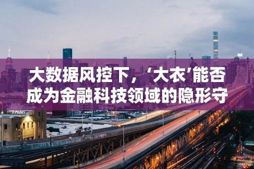 大数据风控下，‘大衣’能否成为金融科技领域的隐形守护者？