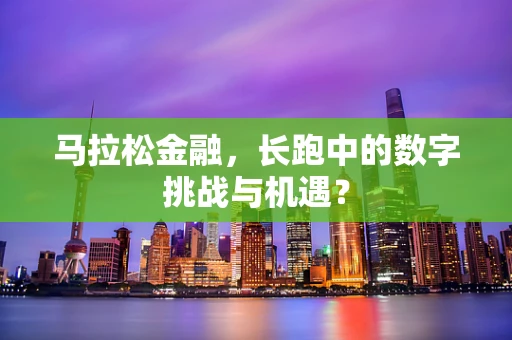 马拉松金融，长跑中的数字挑战与机遇？