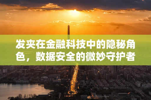 发夹在金融科技中的隐秘角色，数据安全的微妙守护者？