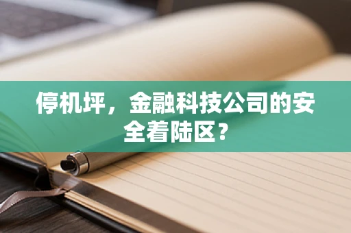 停机坪，金融科技公司的安全着陆区？