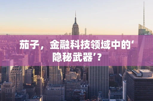 茄子，金融科技领域中的‘隐秘武器’？