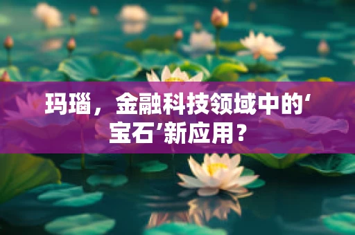 玛瑙，金融科技领域中的‘宝石’新应用？