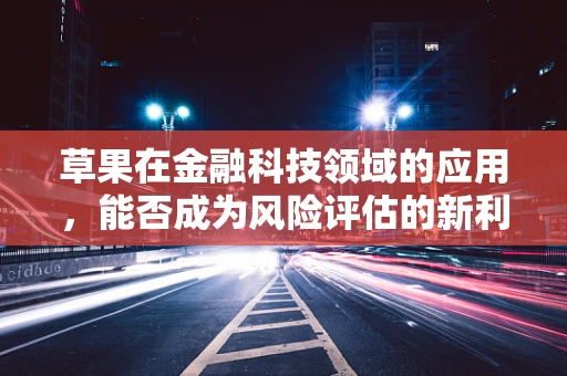 草果在金融科技领域的应用，能否成为风险评估的新利器？