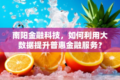 南阳金融科技，如何利用大数据提升普惠金融服务？