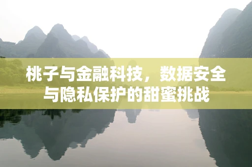 桃子与金融科技，数据安全与隐私保护的甜蜜挑战