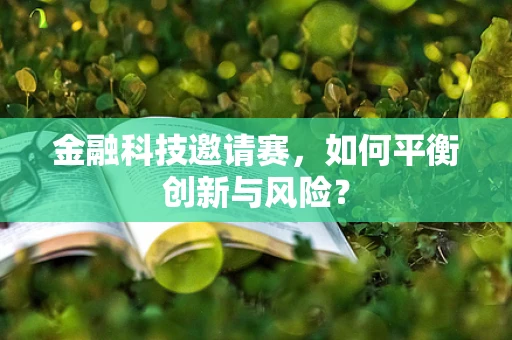 金融科技邀请赛，如何平衡创新与风险？