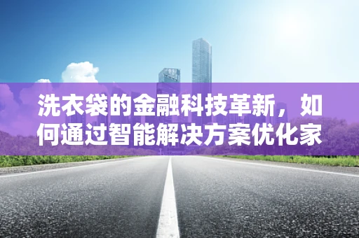 洗衣袋的金融科技革新，如何通过智能解决方案优化家庭财务管理？