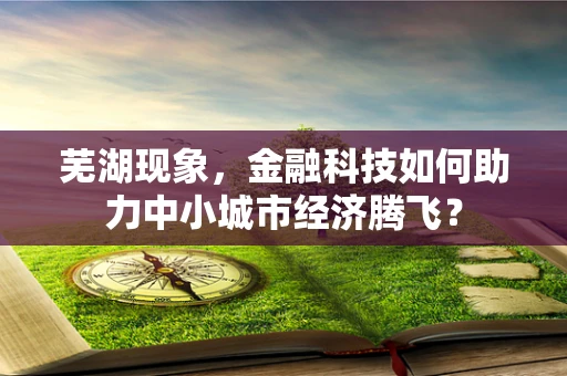 芜湖现象，金融科技如何助力中小城市经济腾飞？