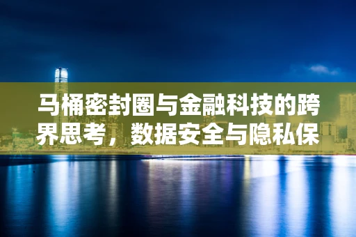 马桶密封圈与金融科技的跨界思考，数据安全与隐私保护的微妙平衡