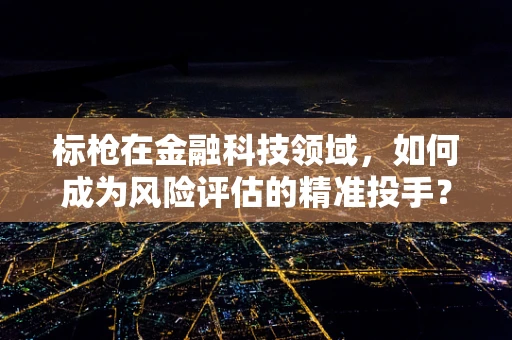 标枪在金融科技领域，如何成为风险评估的精准投手？