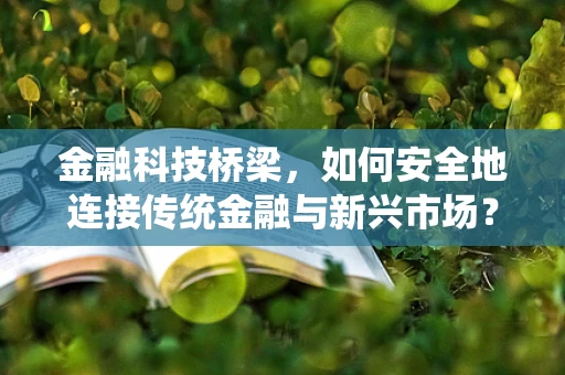 金融科技桥梁，如何安全地连接传统金融与新兴市场？