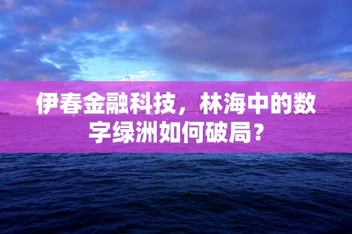 伊春金融科技，林海中的数字绿洲如何破局？