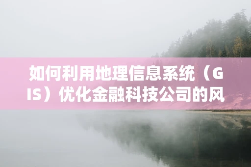 如何利用地理信息系统（GIS）优化金融科技公司的风险管理？