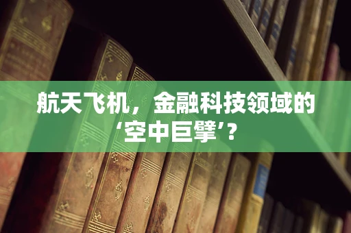 航天飞机，金融科技领域的‘空中巨擘’？