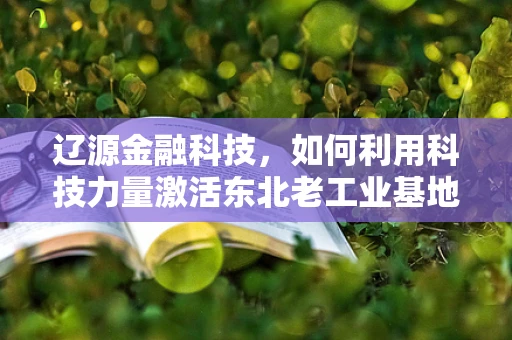 辽源金融科技，如何利用科技力量激活东北老工业基地的金融活力？