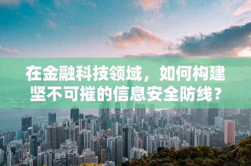 在金融科技领域，如何构建坚不可摧的信息安全防线？