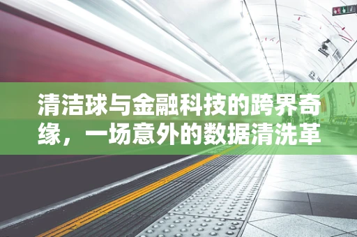 清洁球与金融科技的跨界奇缘，一场意外的数据清洗革命？