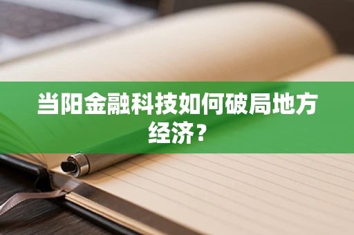 当阳金融科技如何破局地方经济？