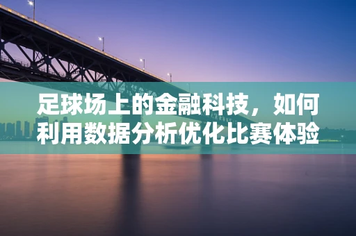 足球场上的金融科技，如何利用数据分析优化比赛体验？