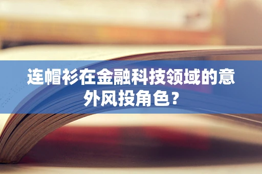 连帽衫在金融科技领域的意外风投角色？