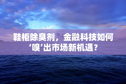 鞋柜除臭剂，金融科技如何‘嗅’出市场新机遇？