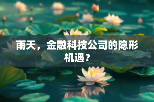 雨天，金融科技公司的隐形机遇？