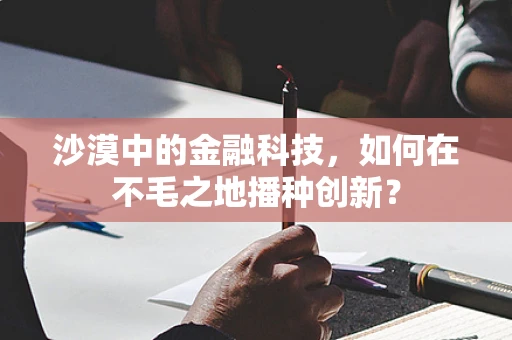 沙漠中的金融科技，如何在不毛之地播种创新？