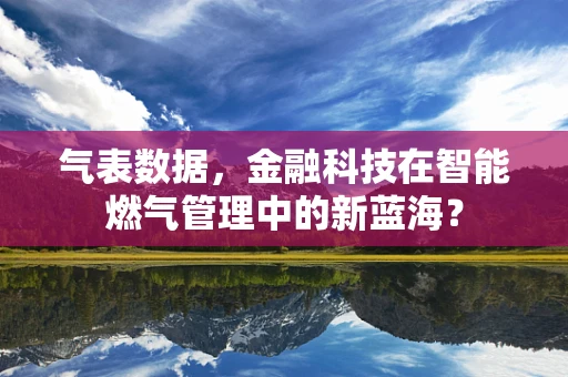 气表数据，金融科技在智能燃气管理中的新蓝海？