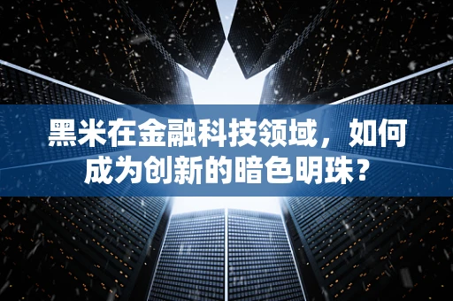 黑米在金融科技领域，如何成为创新的暗色明珠？