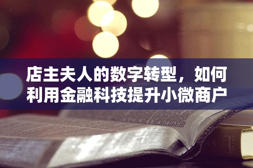 店主夫人的数字转型，如何利用金融科技提升小微商户的财务管理效率？