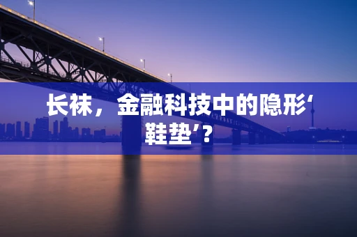 长袜，金融科技中的隐形‘鞋垫’？