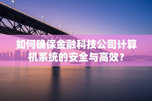 如何确保金融科技公司计算机系统的安全与高效？