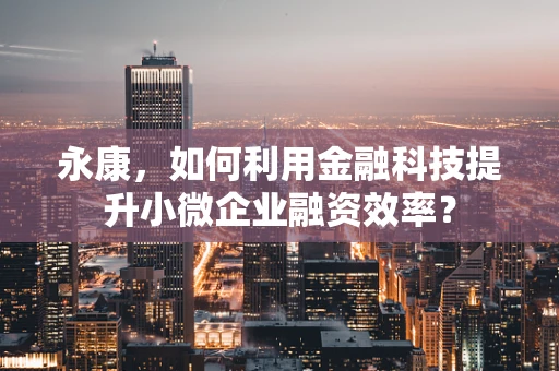 永康，如何利用金融科技提升小微企业融资效率？