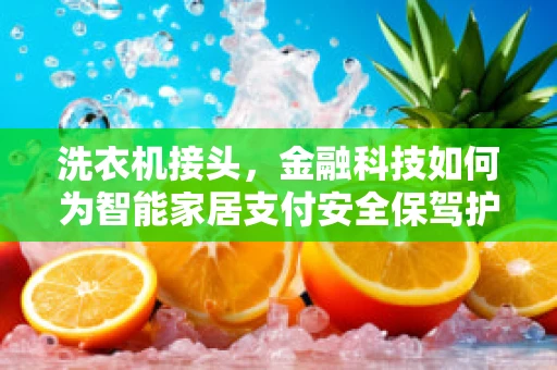 洗衣机接头，金融科技如何为智能家居支付安全保驾护航？