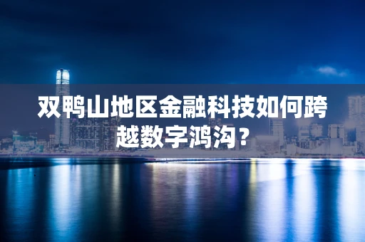 双鸭山地区金融科技如何跨越数字鸿沟？