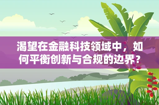 渴望在金融科技领域中，如何平衡创新与合规的边界？