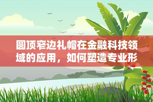 圆顶窄边礼帽在金融科技领域的应用，如何塑造专业形象与品牌识别？