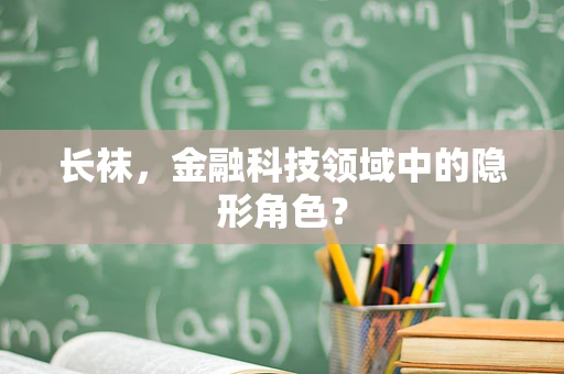 长袜，金融科技领域中的隐形角色？