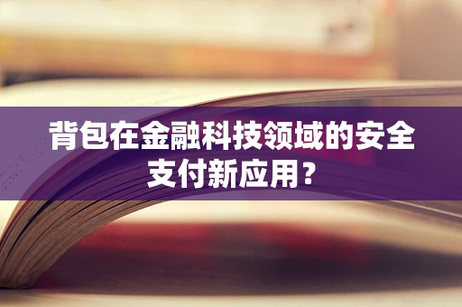 背包在金融科技领域的安全支付新应用？