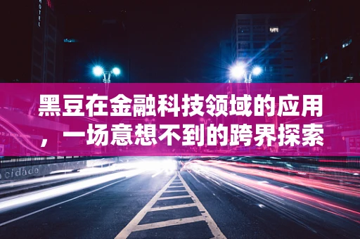 黑豆在金融科技领域的应用，一场意想不到的跨界探索