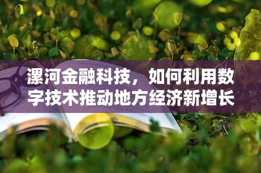 漯河金融科技，如何利用数字技术推动地方经济新增长？