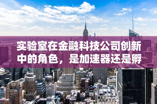 实验室在金融科技公司创新中的角色，是加速器还是孵化器？