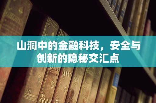 山洞中的金融科技，安全与创新的隐秘交汇点