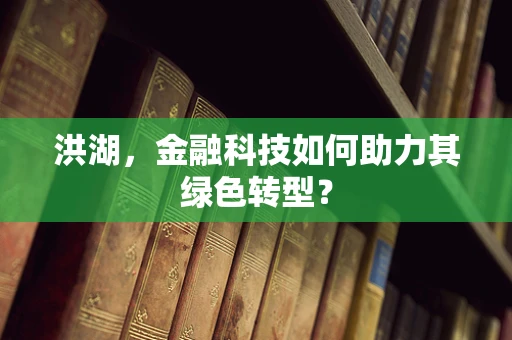 洪湖，金融科技如何助力其绿色转型？